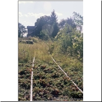 200x-0x-xx Lokalbahn Stammersdorf-Zistersdorf 23.jpg